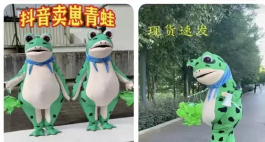图片[4]-成本4元卖14，一天利润1400，全年无淡季【地摊赚钱项目-青蛙卖崽】-6G标准网