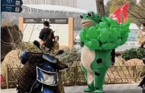 成本4元卖14，一天利润1400，全年无淡季【地摊赚钱项目-青蛙卖崽】-6G标准网