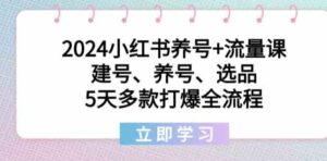 《2024雪梨小红书养号+流量课》：从零到爆款，小红书电商流量秘籍-6G标准网