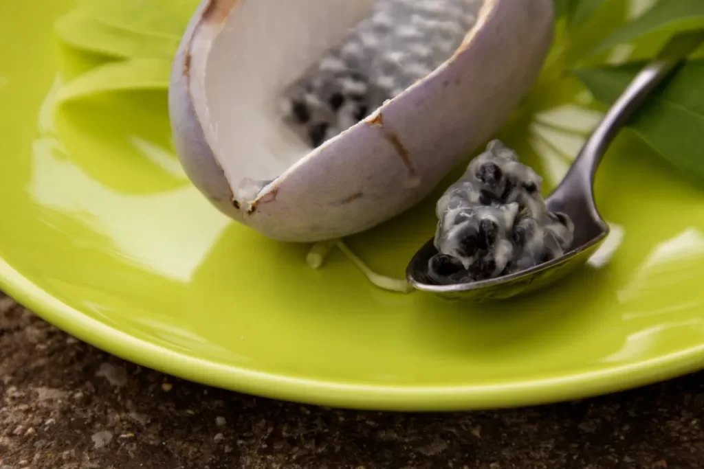 【阿科比果赚钱是真的吗】农村冷门生意，一年能赚20-30万，潜力很大！-6G标准网