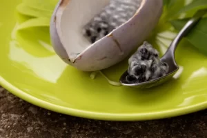 【阿科比果赚钱是真的吗】农村冷门生意，一年能赚20-30万，潜力很大！-6G标准网