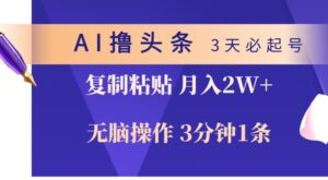 AI撸头条野路子：3分钟发一条，日赚1000+，轻松月入过万-6G标准网